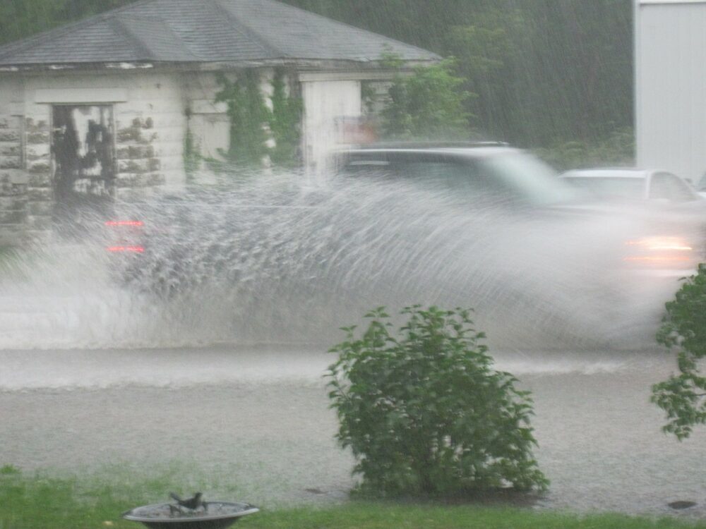 Flood In Olympia